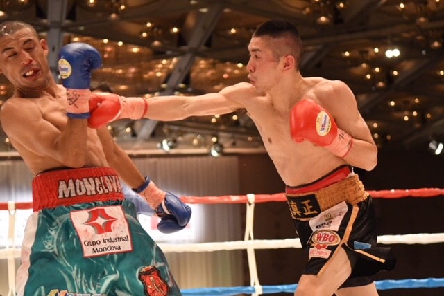 WBO strawweight titlist Ryuya Yamanaka (right) vs. Moises Callero. Photo credit: Boxing Mobile/QBIX Co. Ltd.