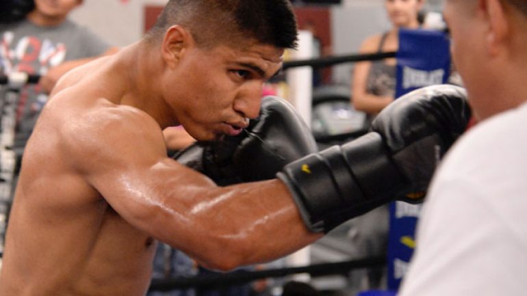 Photo gallery: Mikey Garcia workout