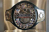 The-Contender-title-belt