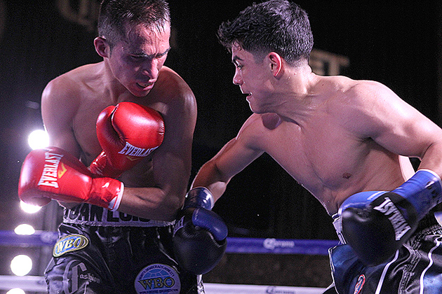 Joseph Diaz Jr. exchanges punches with Juan Luis Hernandez on March 6, 2015 at the Belasco Theater in Los Angeles. Diaz won by third-round TKO. Photo by Tom Hogan /Hoganphotos-Golden Boy Promotions