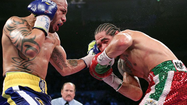 Iconic Images Three photographers track Miguel Cotto's career