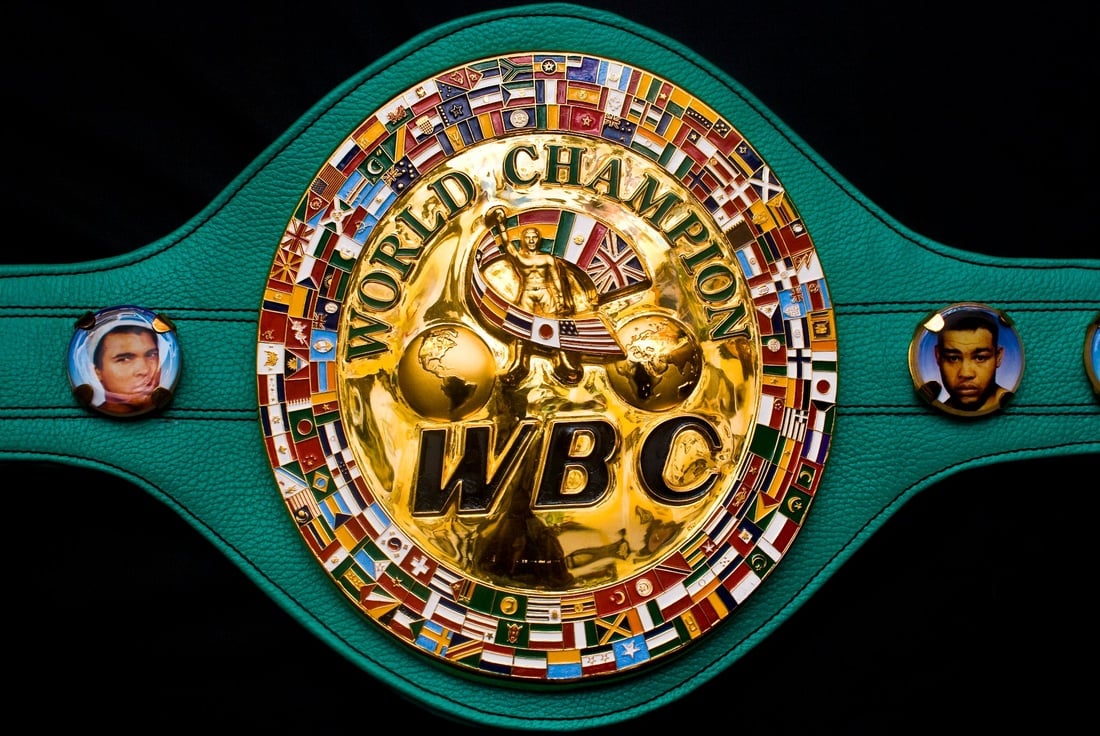 WBC mandatory convention - The Ring