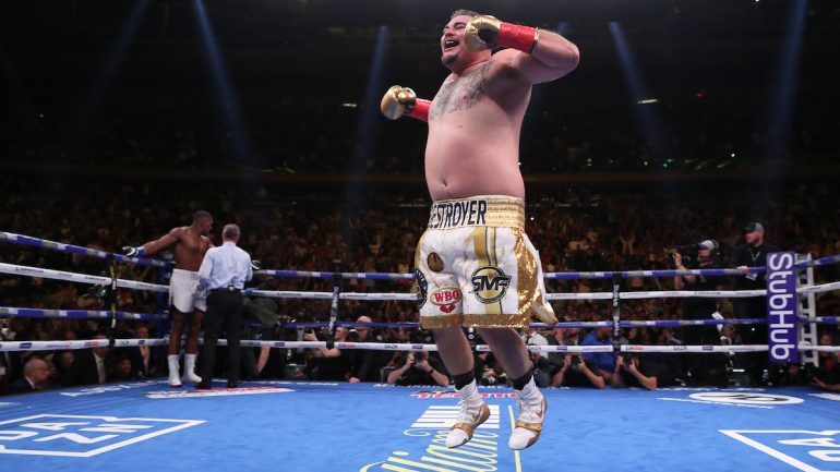 Andy Ruiz proves that round is also a shape in heavyweight boxing