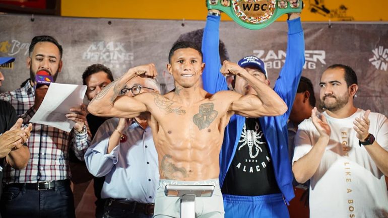 Miguel Berchelt makes quick work of Diego Ruiz in ring return, stops him in two