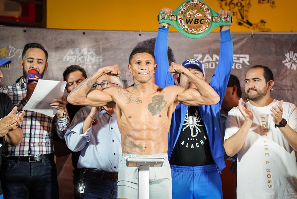 Miguel Berchelt makes quick work of Diego Ruiz in ring return, stops him in two